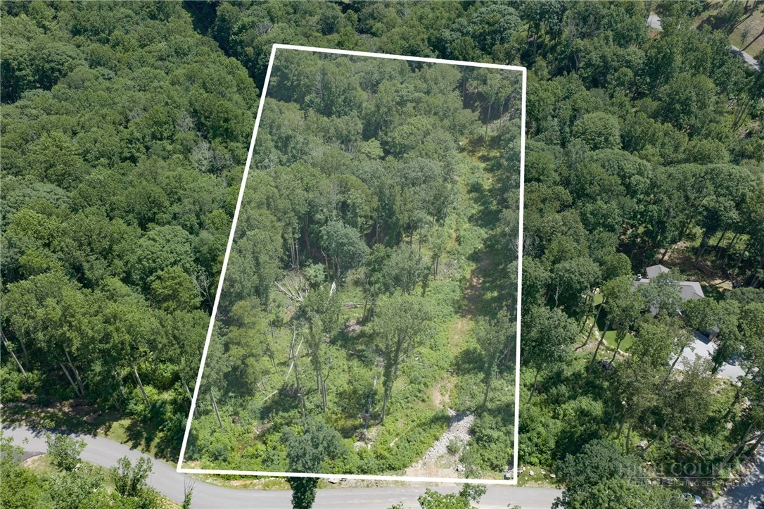 Image number 1 for the current listing