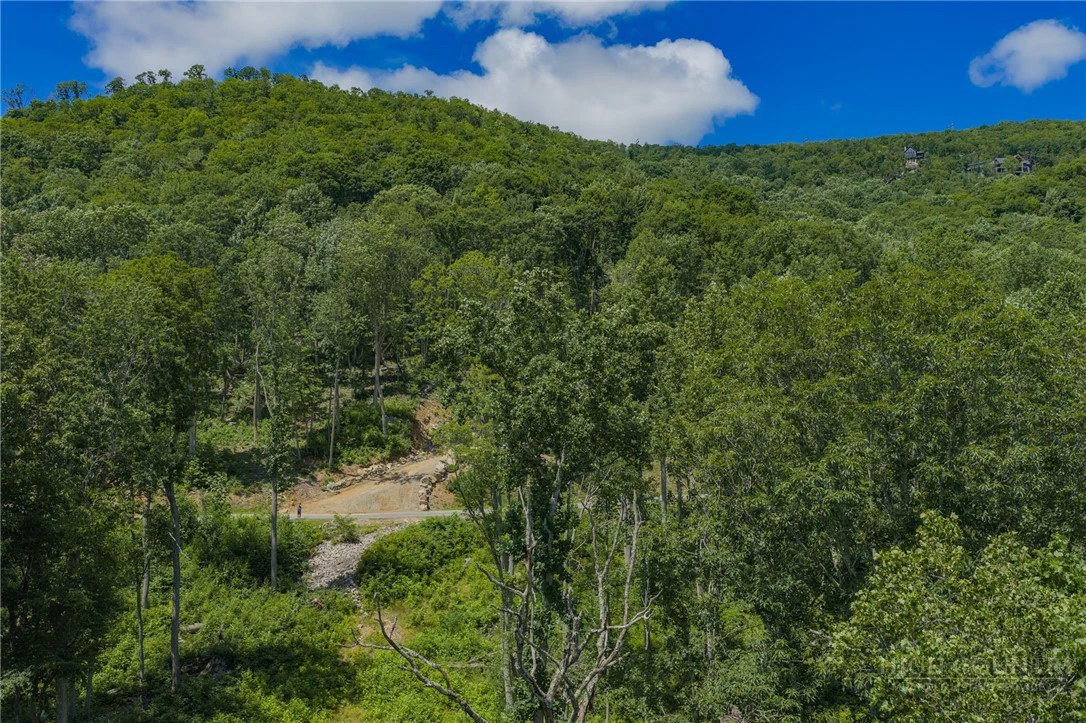 Image number 8 for the current listing