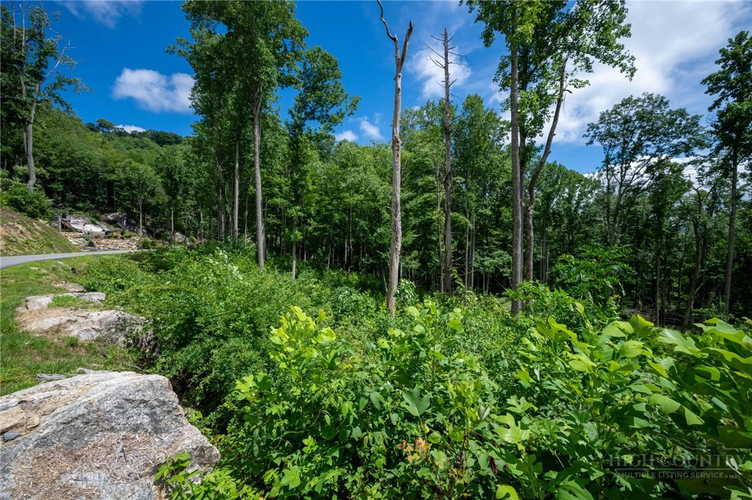 Image number 11 for the current listing