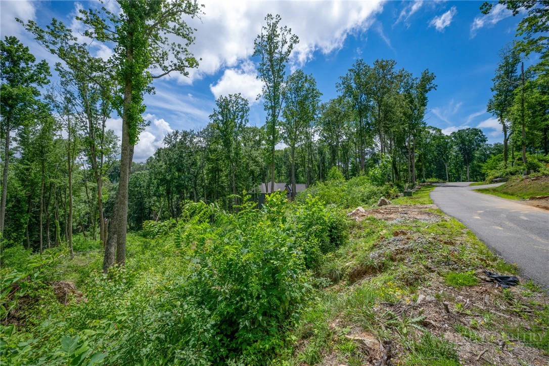 Image number 12 for the current listing