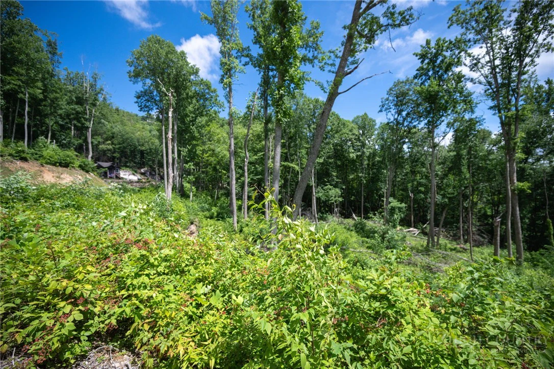 Image number 15 for the current listing