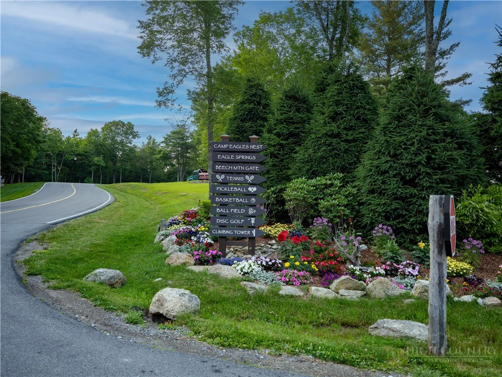 Image number 16 for the current listing