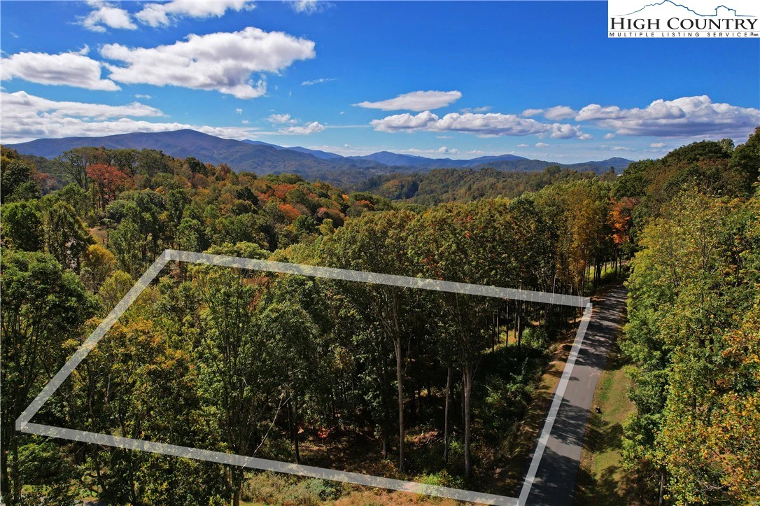 Image number 1 for the current listing