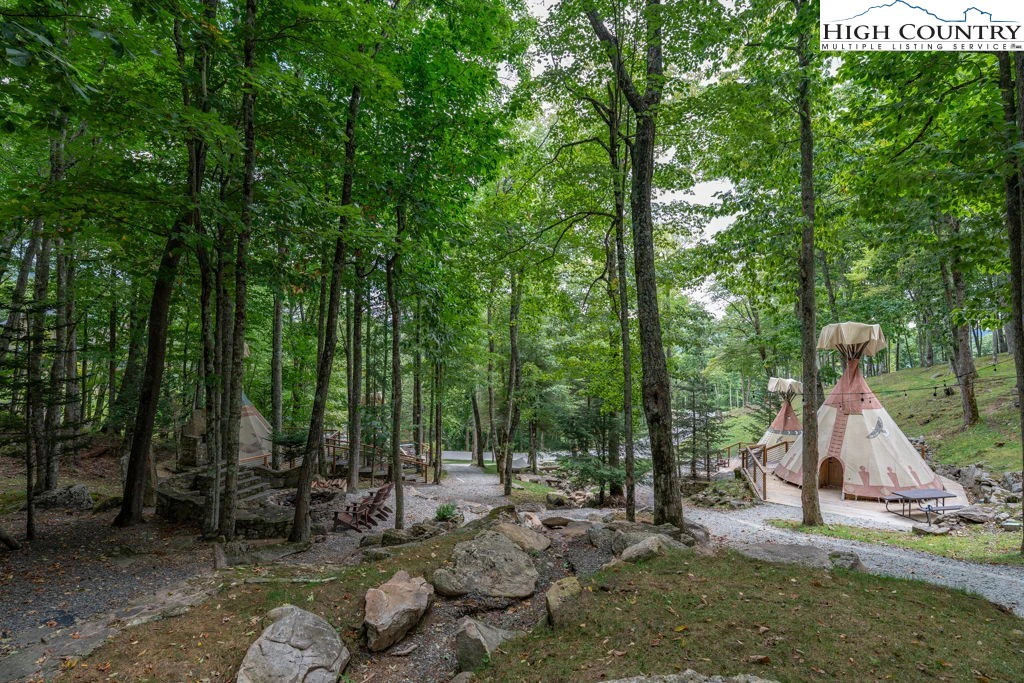 Image number 5 for the current listing