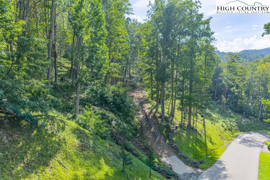 Image number 1 for the current listing