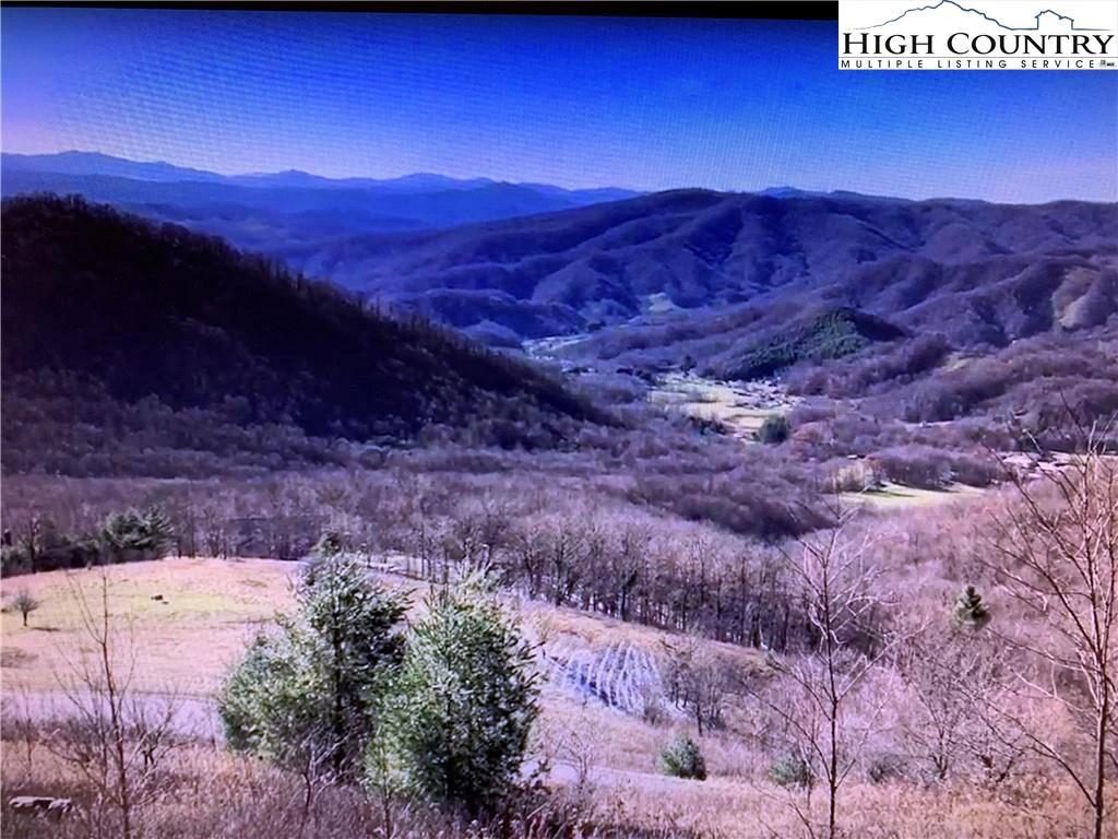 Image number 1 for the current listing