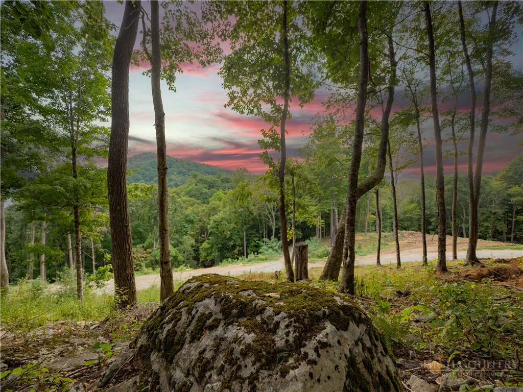 Image number 1 for the current listing