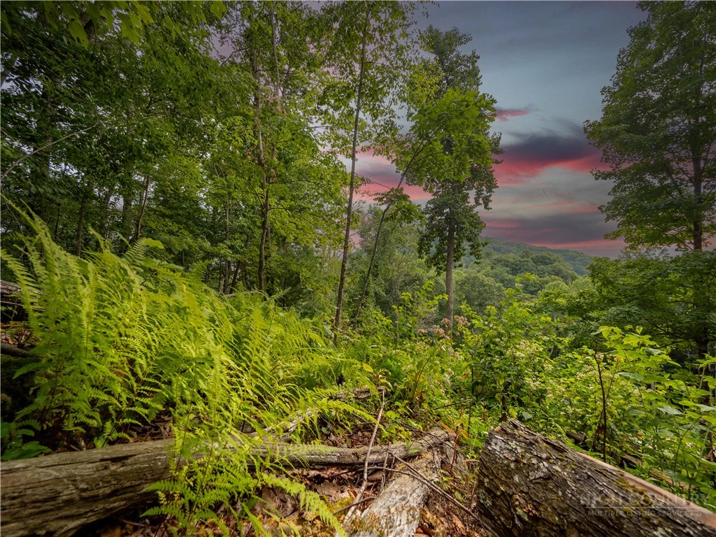 Image number 2 for the current listing