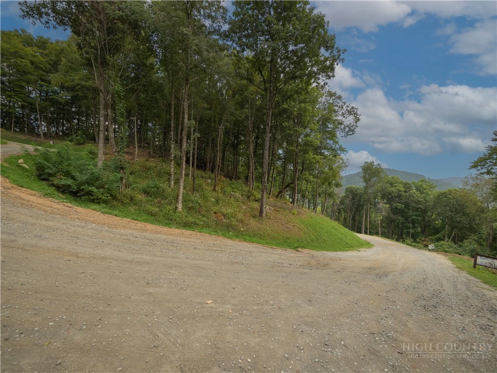 Image number 4 for the current listing