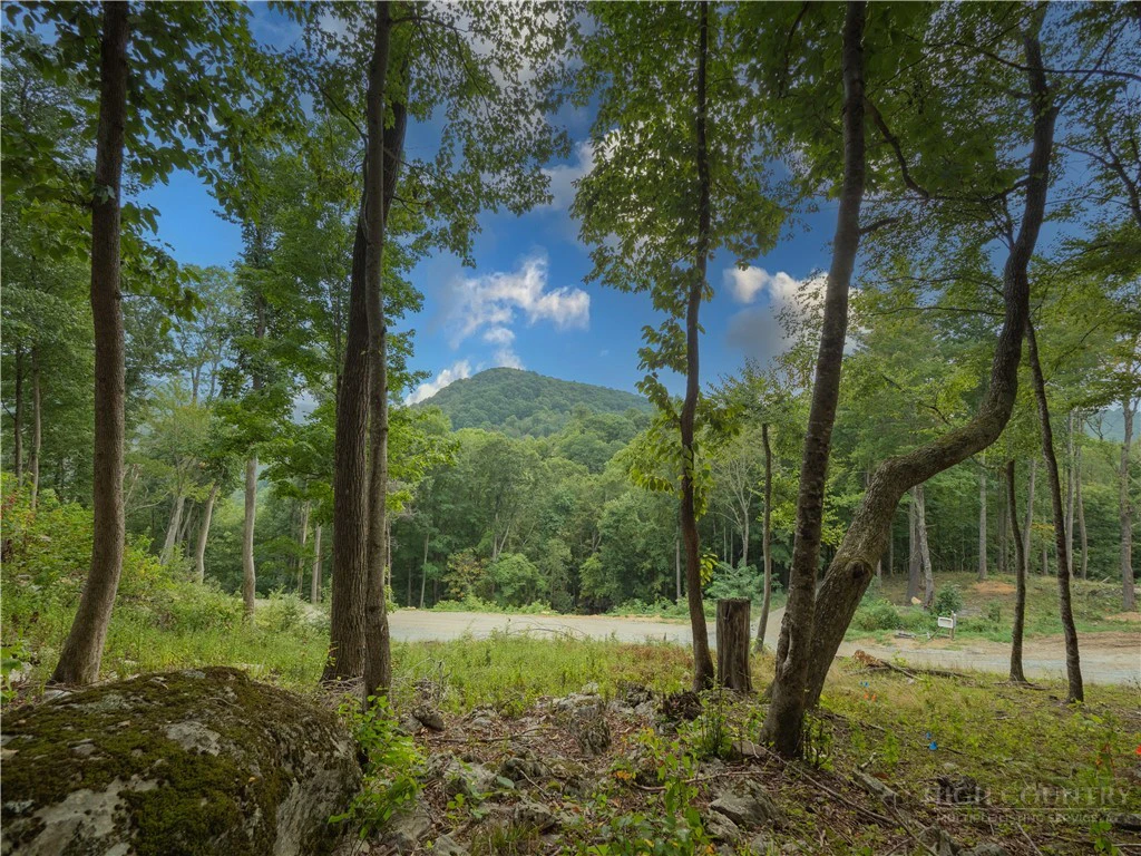 Image number 5 for the current listing