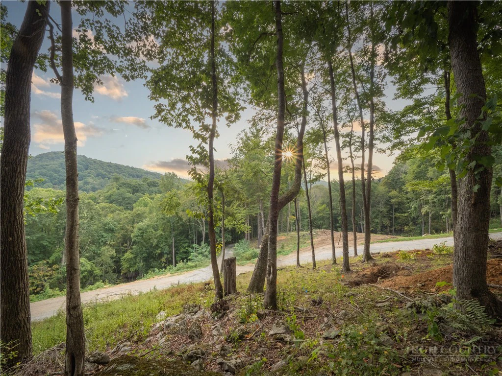 Image number 6 for the current listing