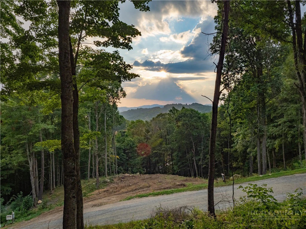 Image number 7 for the current listing