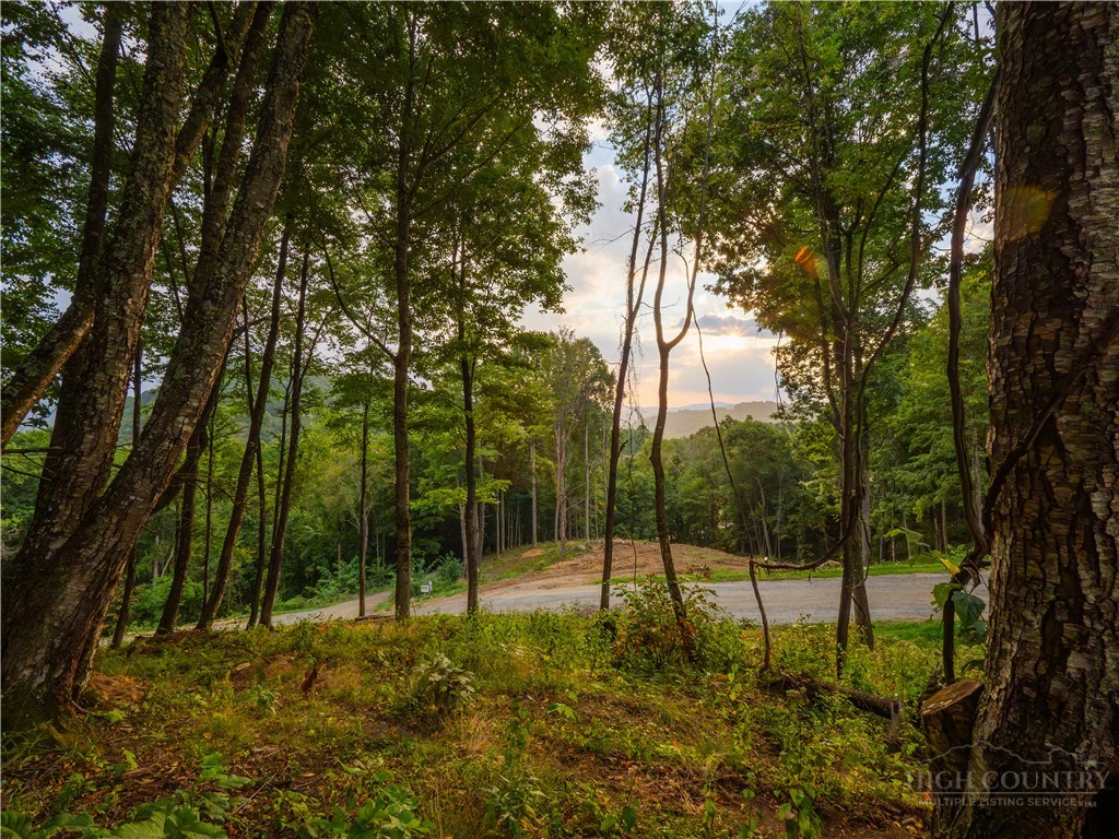 Image number 8 for the current listing