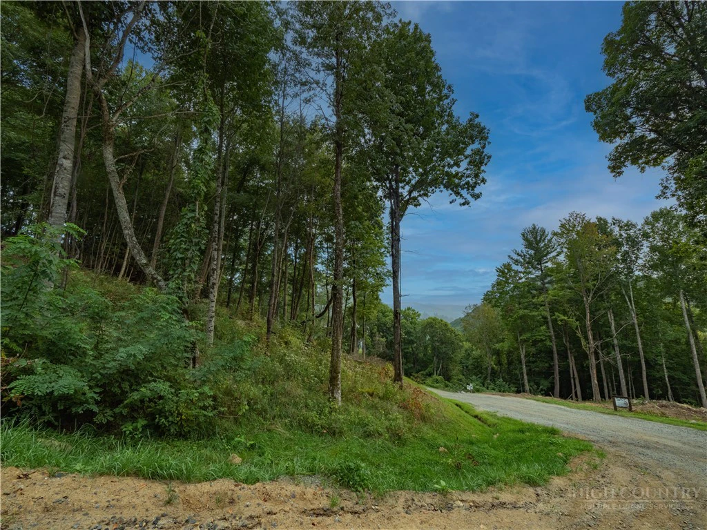 Image number 9 for the current listing