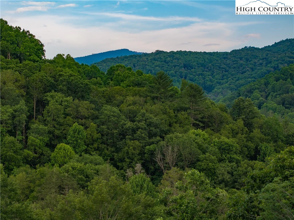 Image number 1 for the current listing