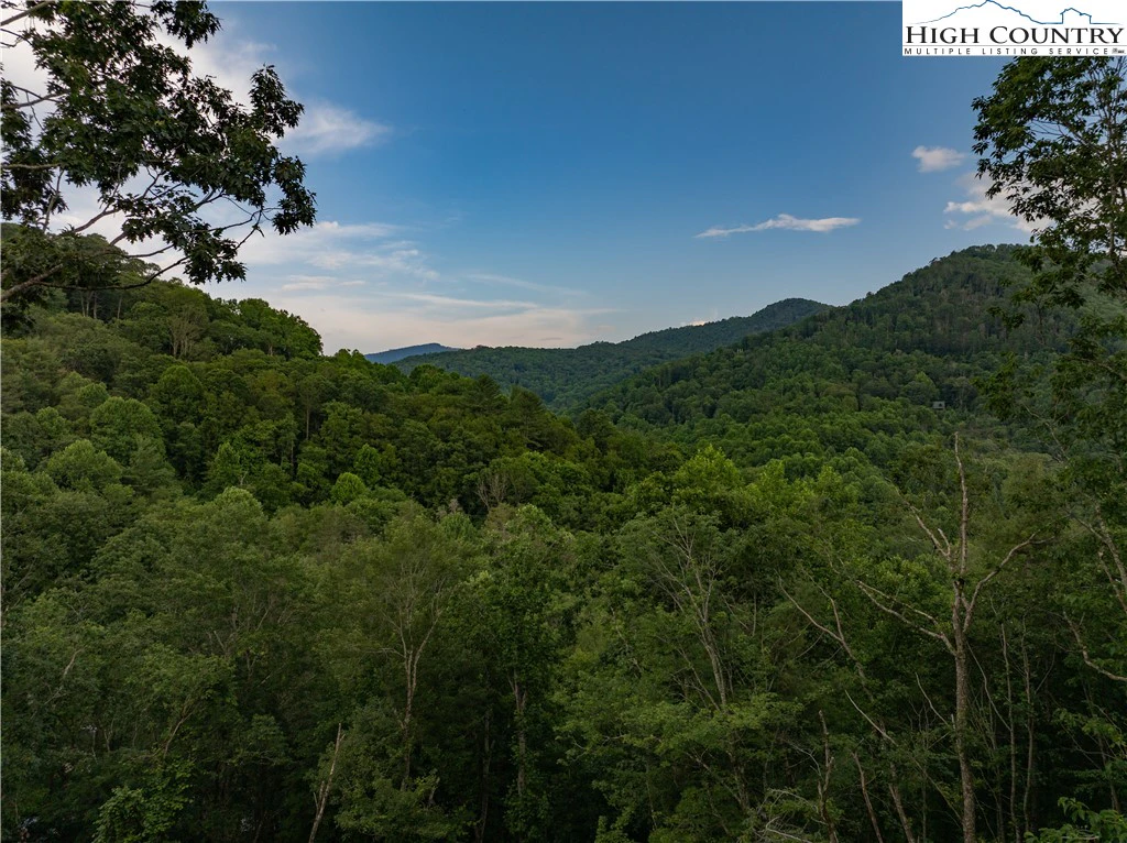 Image number 15 for the current listing