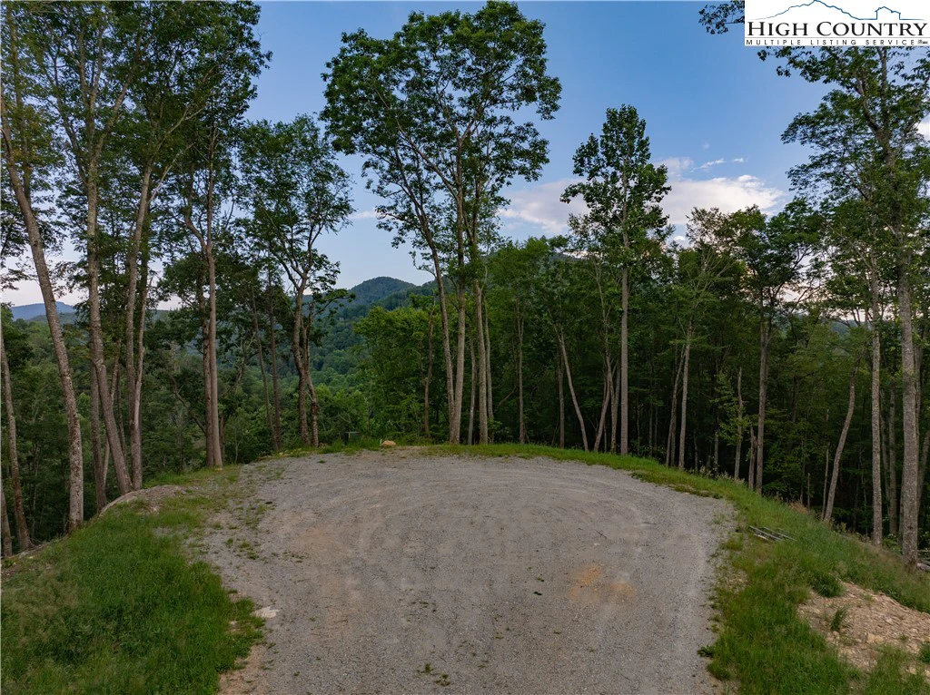 Image number 14 for the current listing
