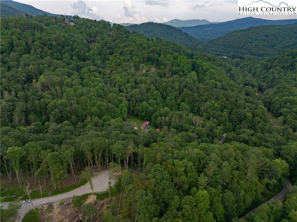 Image number 2 for the current listing
