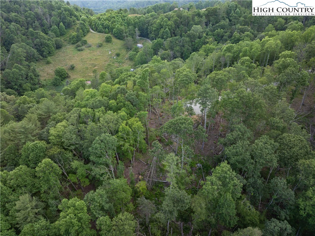 Image number 7 for the current listing
