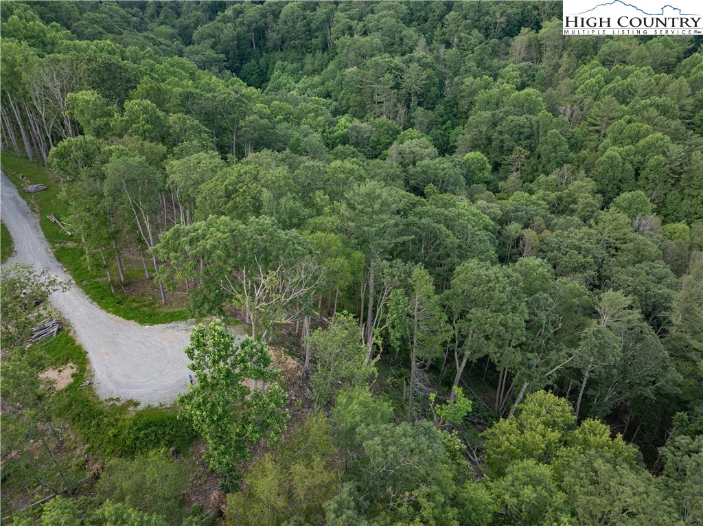 Image number 5 for the current listing