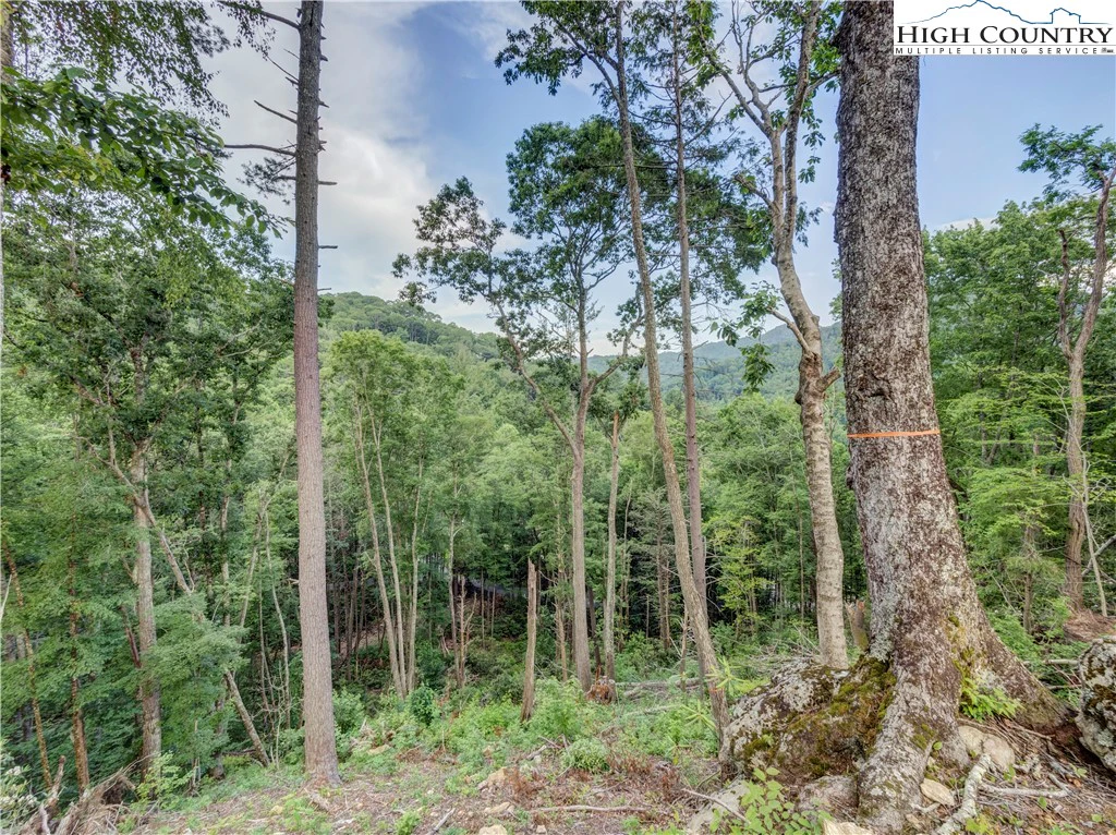 Image number 3 for the current listing