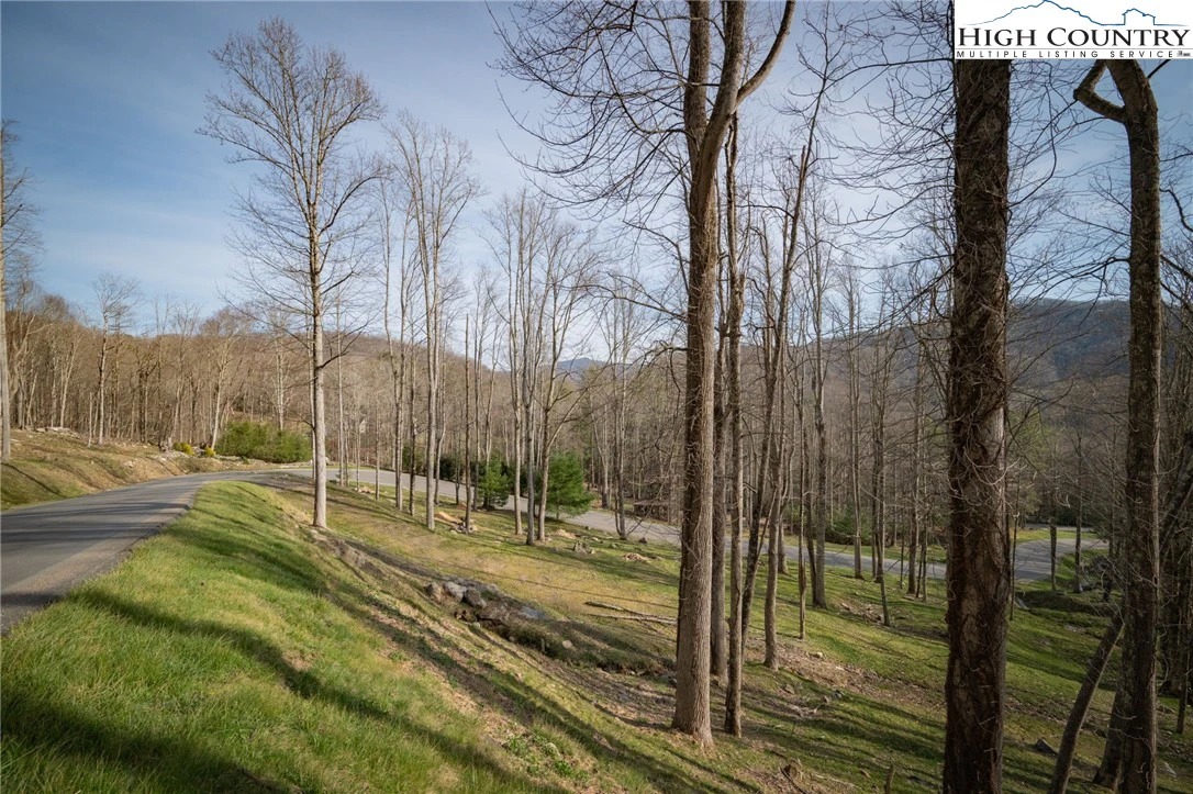 Image number 1 for the current listing