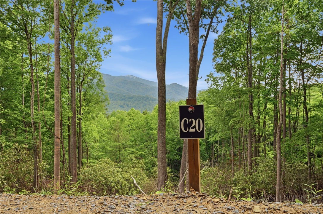 Image number 1 for the current listing