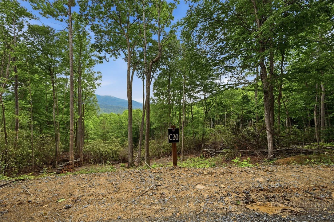 Image number 2 for the current listing