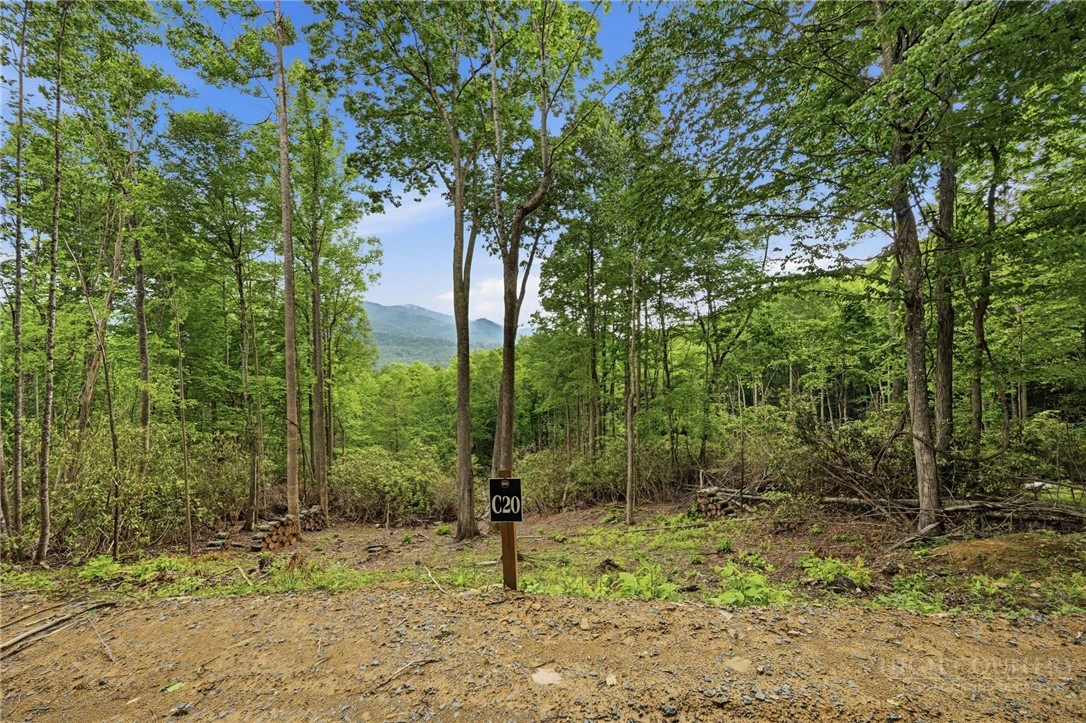 Image number 3 for the current listing