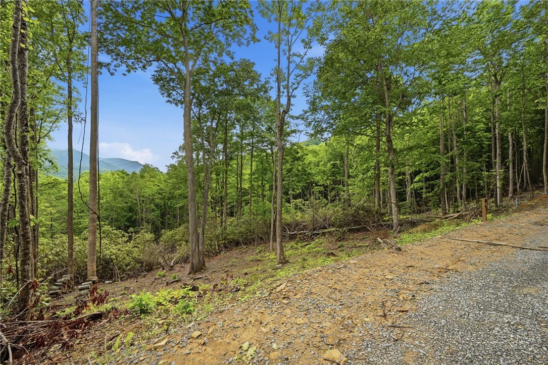 Image number 4 for the current listing
