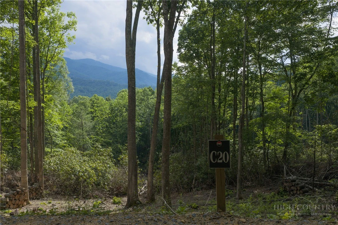 Image number 5 for the current listing