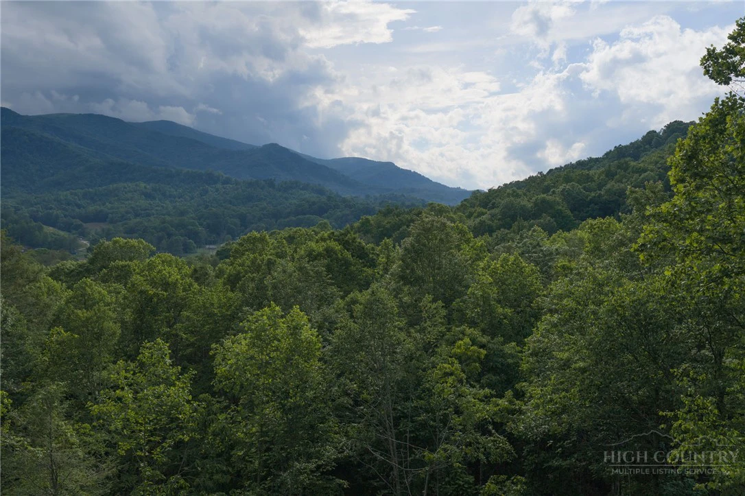 Image number 7 for the current listing