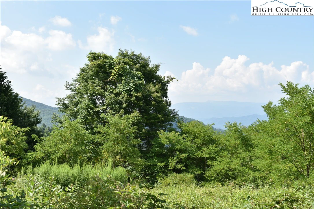 Image number 1 for the current listing