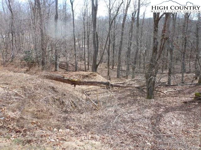 Image number 3 for the current listing