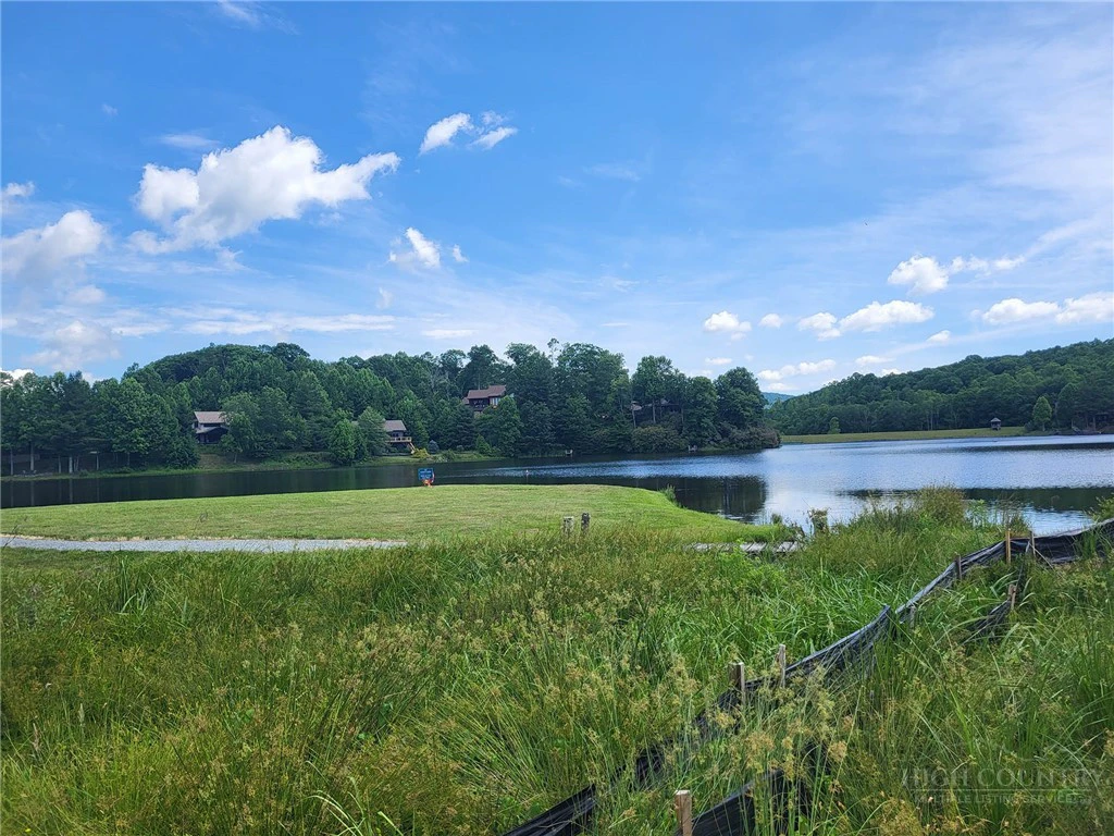 Image number 4 for the current listing