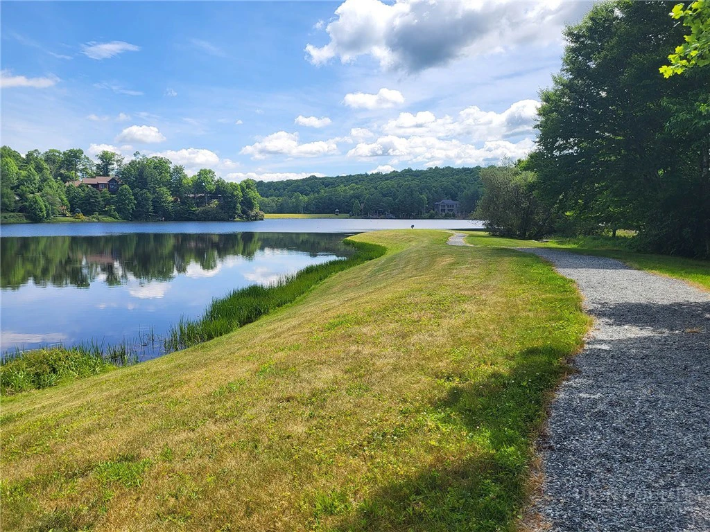 Image number 6 for the current listing