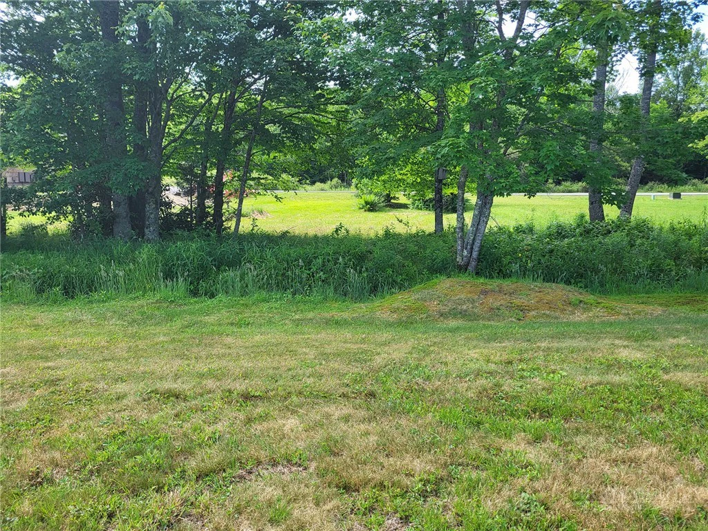 Image number 7 for the current listing