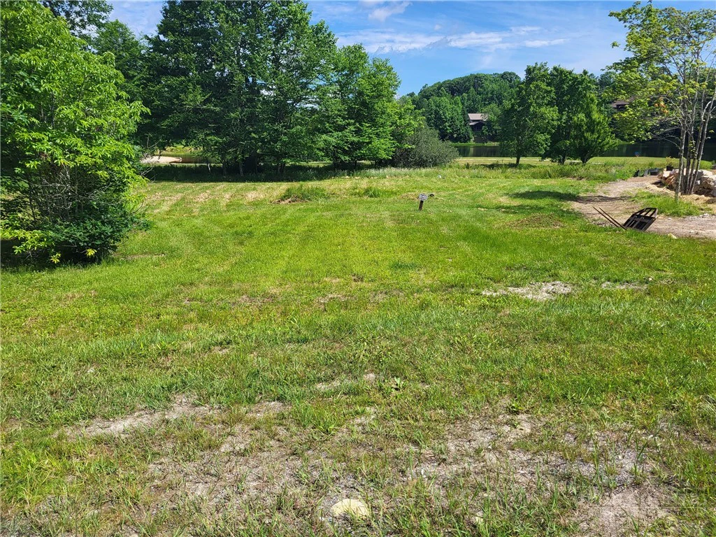 Image number 9 for the current listing