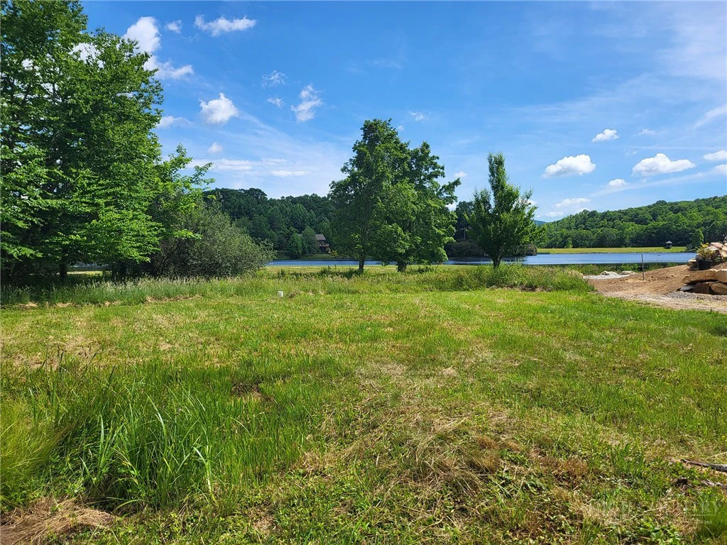 Image number 10 for the current listing