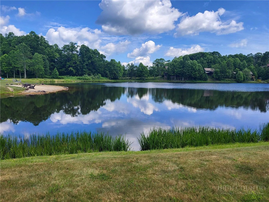 Image number 11 for the current listing