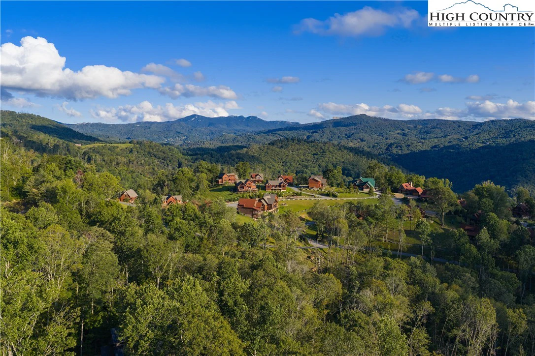 Image number 12 for the current listing