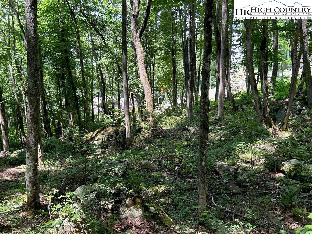 Image number 10 for the current listing