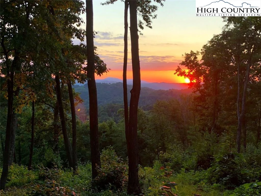 Image number 1 for the current listing