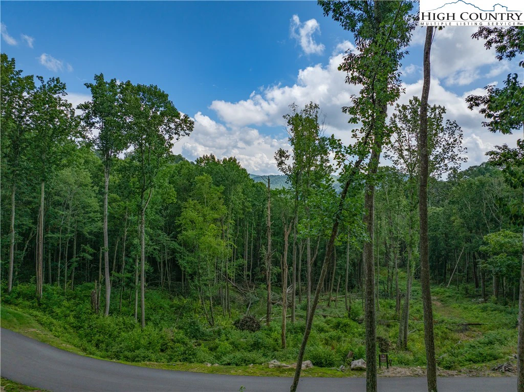 Image number 8 for the current listing