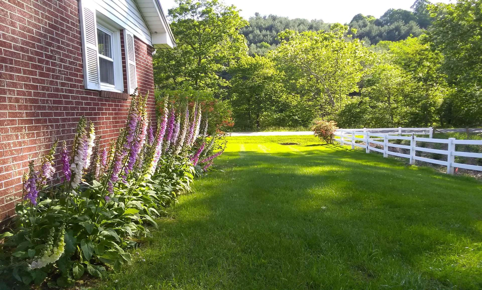 Image number 7 for the current listing