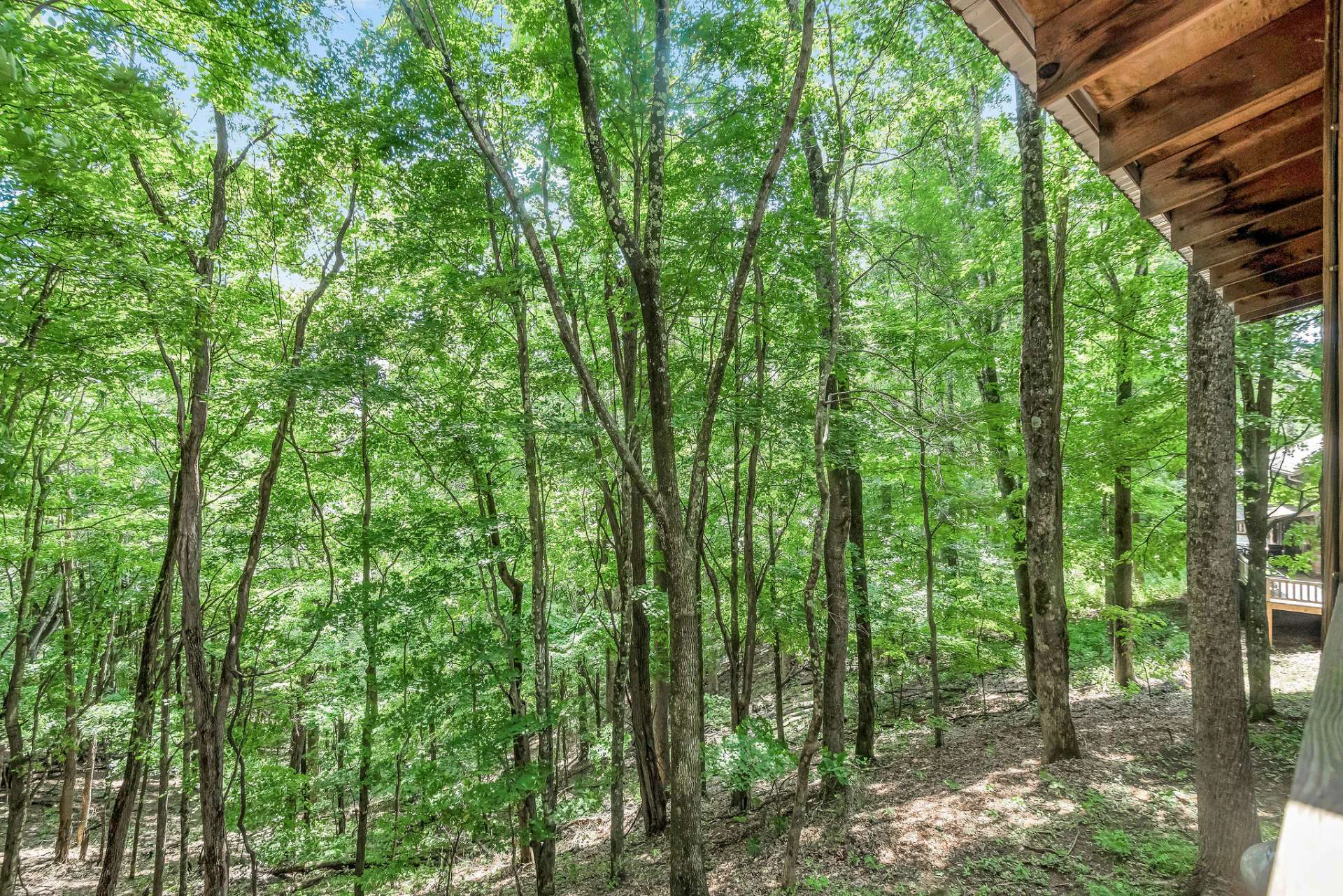 Image number 18 for the current listing