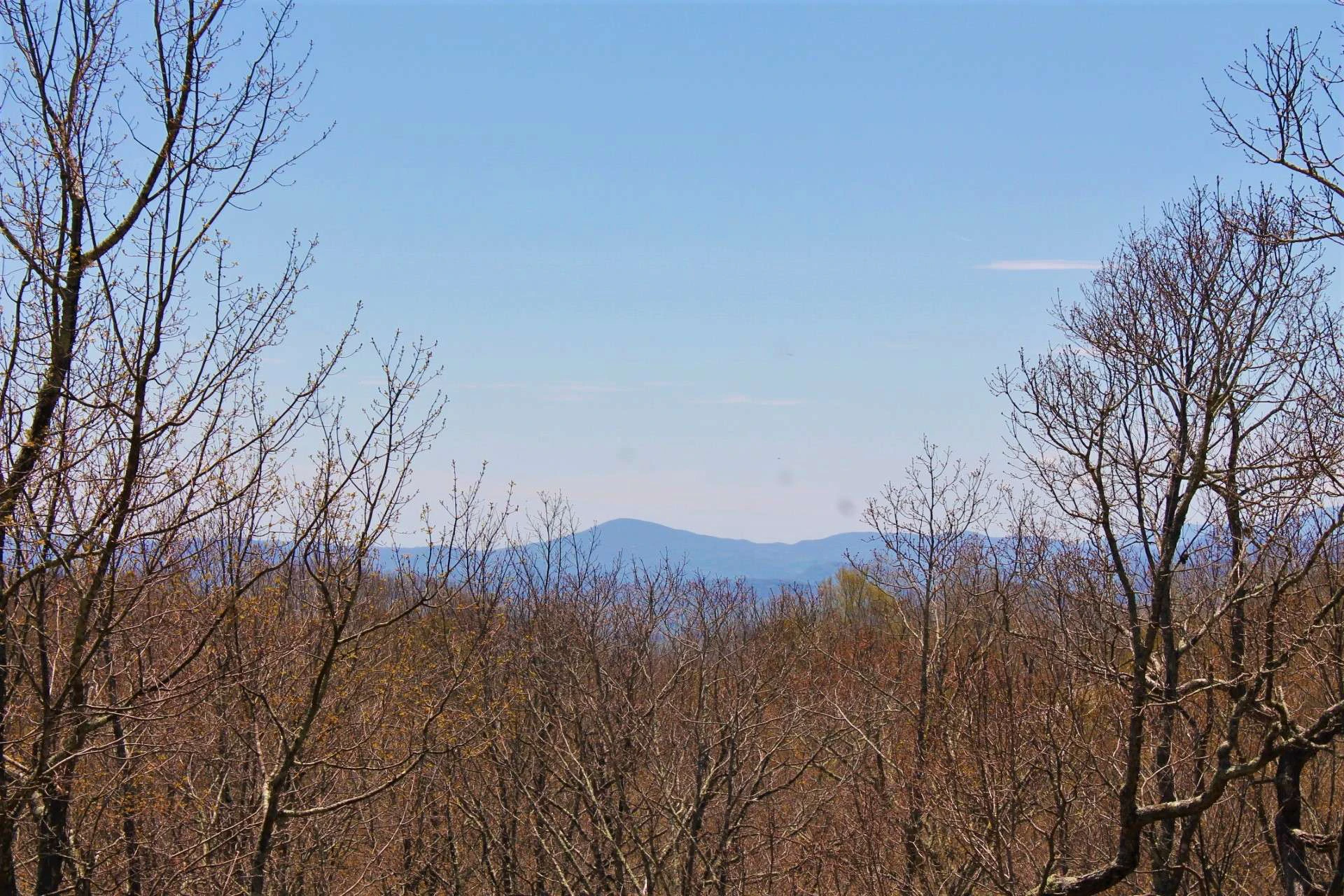 Image number 16 for the current listing