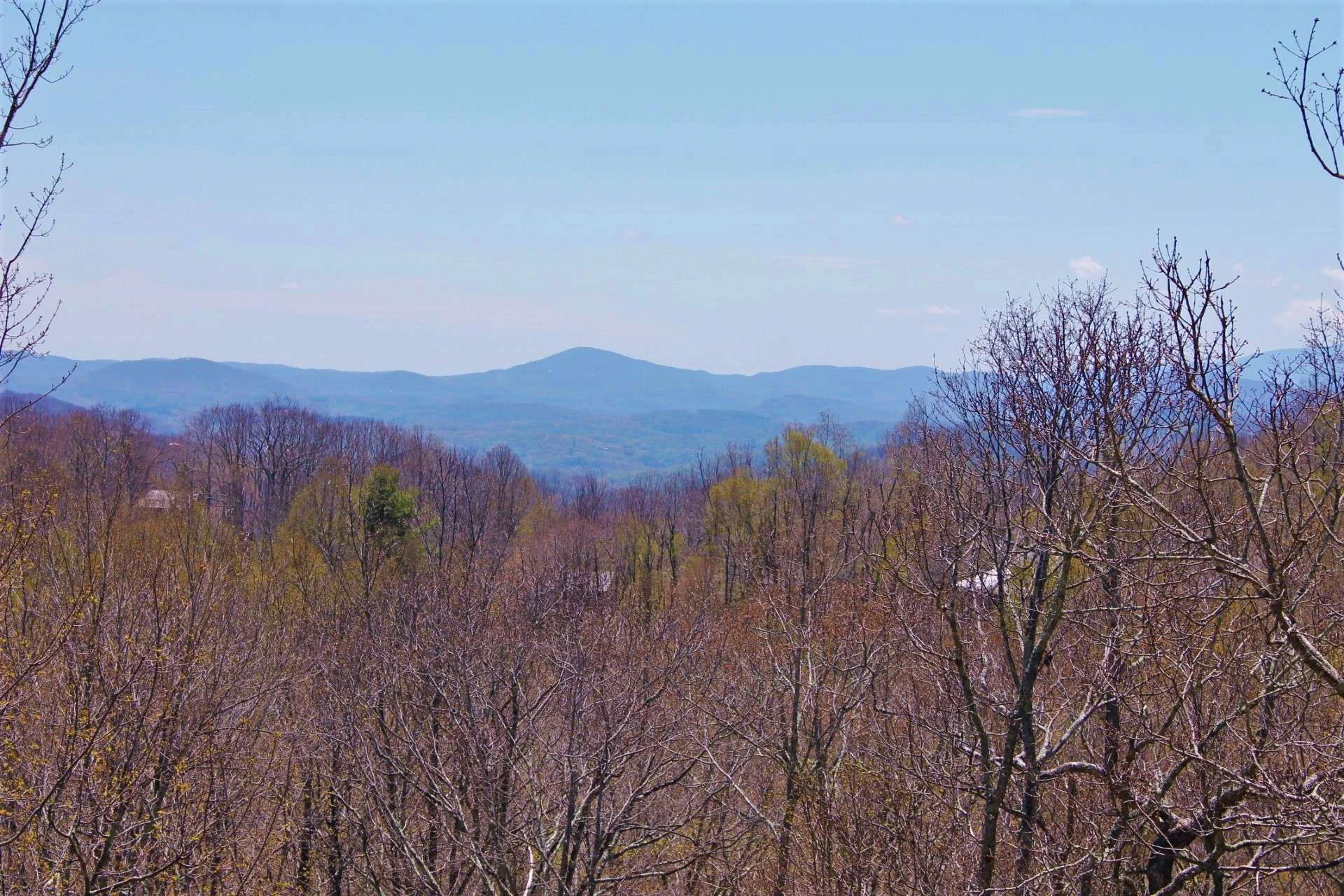 Image number 9 for the current listing