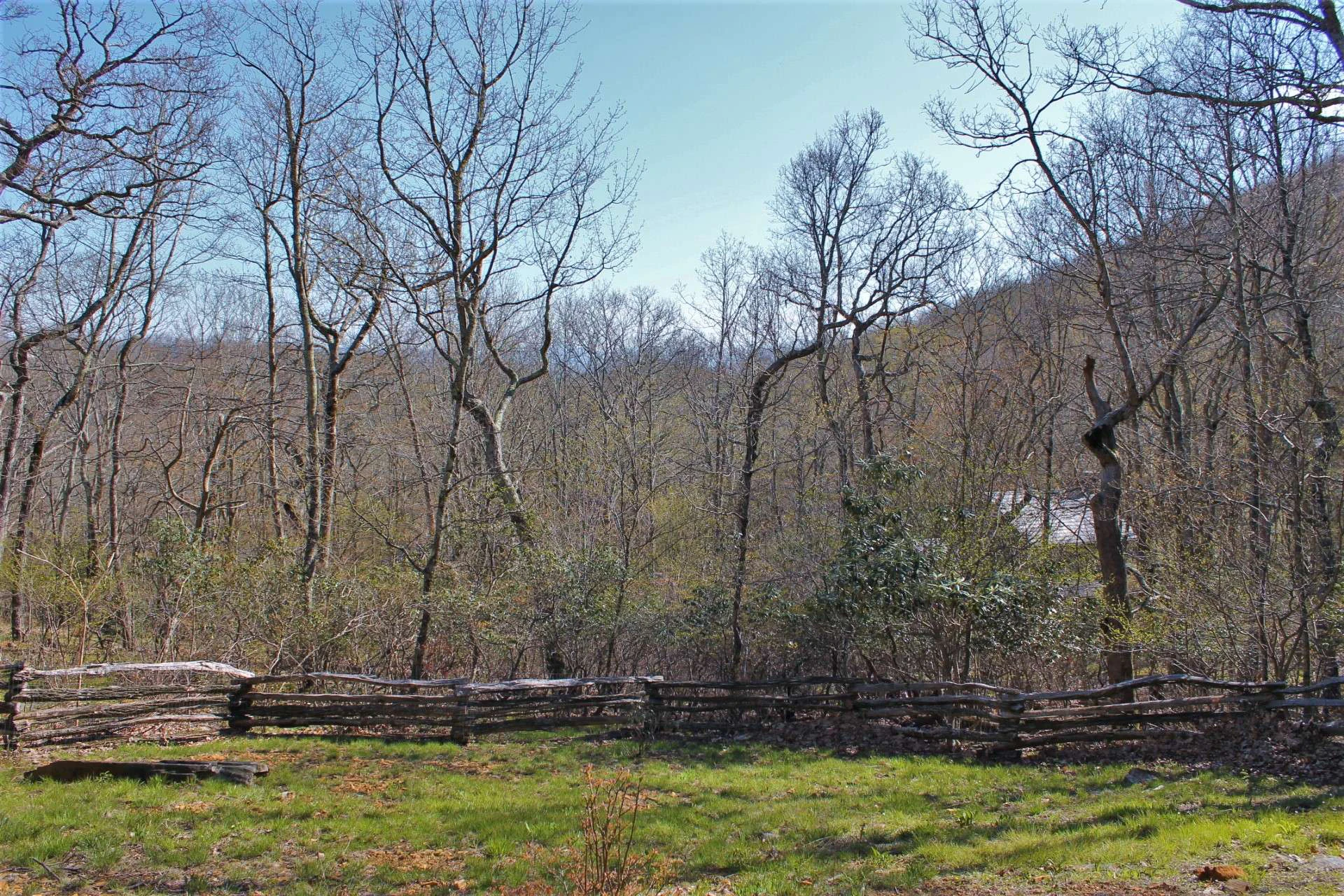 Image number 3 for the current listing