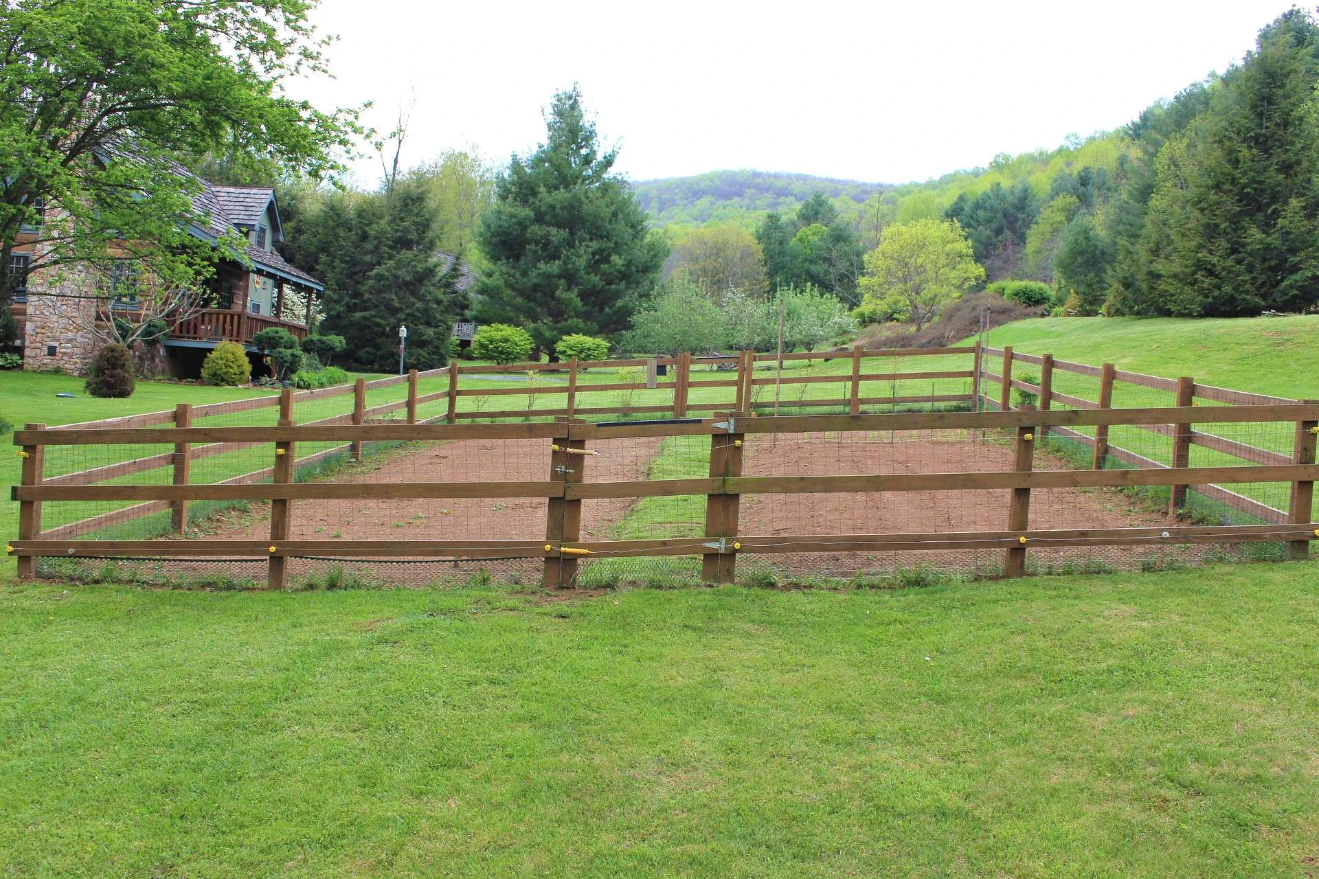 Image number 7 for the current listing